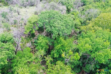 Historic Pedernales River Ranch. Steeped in Texas history and - photo 15