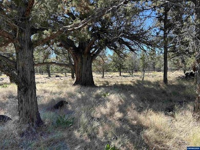 Highly coveted buildable lot inside 3 Rivers gated community - photo 15