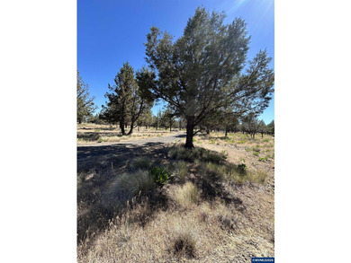 Highly coveted buildable lot inside 3 Rivers gated community - photo 16