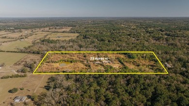 Discover 23.5 attractive acres within the city limits of Timpson - photo 1