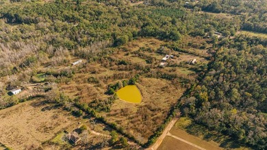Discover 23.5 attractive acres within the city limits of Timpson - photo 3