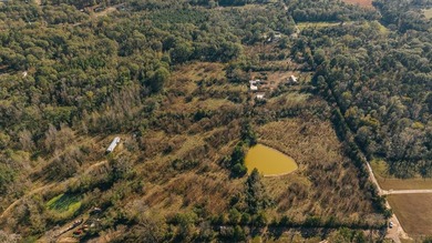 Discover 23.5 attractive acres within the city limits of Timpson - photo 4