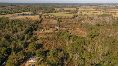 Discover 23.5 attractive acres within the city limits of Timpson - photo 5
