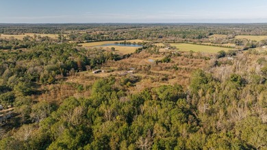 Discover 23.5 attractive acres within the city limits of Timpson - photo 6