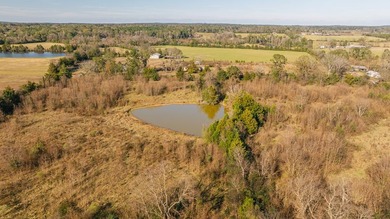 Discover 23.5 attractive acres within the city limits of Timpson - photo 10