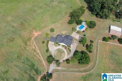 This Amazing property has room for your cattle and equine, with - photo 5