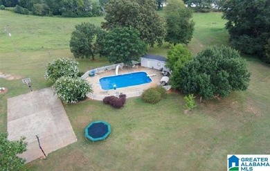 This Amazing property has room for your cattle and equine, with - photo 10