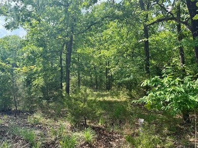 BUILD YOLUR LAKE GETAWAY AT ARROWHEAD ESTATES! Take advantage of - photo 3