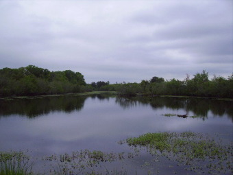 (private lake, pond, creek) Acreage For Sale in Andalusia Alabama