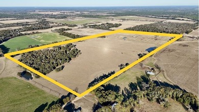 (private lake, pond, coastal) Commercial Sale Pending in Newton Georgia