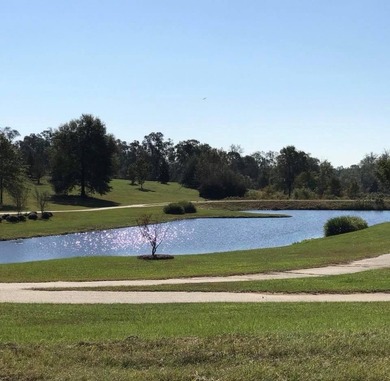 Build your dream home in the desirable Willow Walk Subdivision! - photo 1