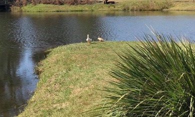 Build your dream home in the desirable Willow Walk Subdivision! - photo 2