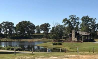 Build your dream home in the desirable Willow Walk Subdivision! - photo 3