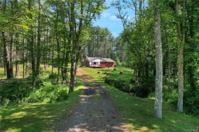 Lake Home For Sale in Deerpark, New York