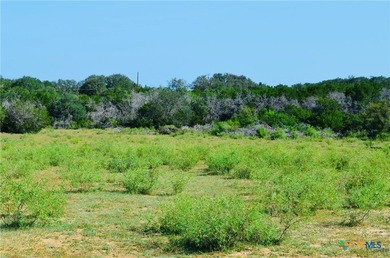 Historic Pedernales River Ranch. Steeped in Texas history and - photo 17