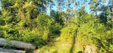 Lake Pontchartrain Acreage For Sale in Lacombe Louisiana