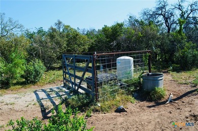 Historic Pedernales River Ranch. Steeped in Texas history and - photo 25