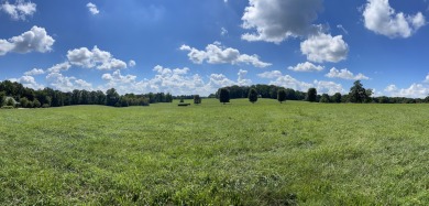 Build your dream home in the southern Kentucky hills on this - Lake Lot For Sale in Russell Springs, Kentucky