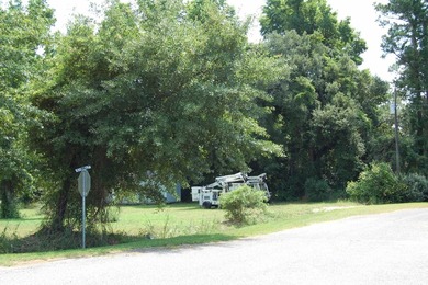 Nice corner lot in Kensington just waiting on you to build your - photo 3