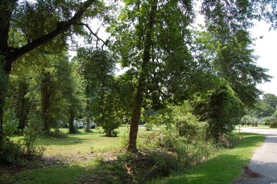Nice corner lot in Kensington just waiting on you to build your - photo 4