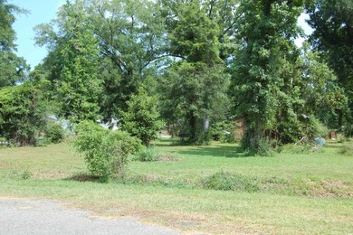 Nice corner lot in Kensington just waiting on you to build your - photo 5