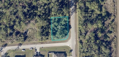 Lehigh Acres Area Lot For Sale in Lehigh Acres Florida