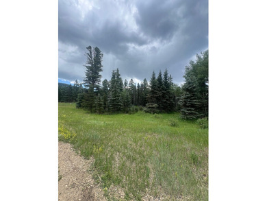 Monte Verde Lake Acreage For Sale in Angel Fire New Mexico