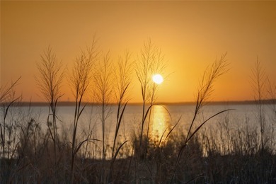 22 2 + acre private luxury lots in the gated community of - photo 8