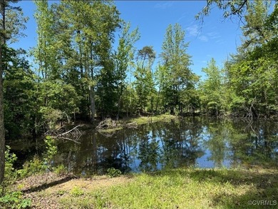 (private lake, pond, creek) Acreage For Sale in Louisa Virginia
