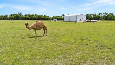 Discover a slice of serene countryside living with this - photo 6