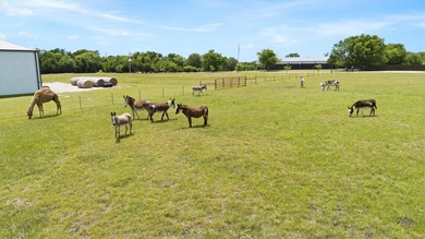 Discover a slice of serene countryside living with this - photo 7