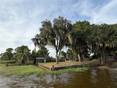 Little Lake Harris Home For Sale in Astatula Florida