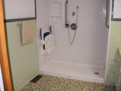 Truely one level living. 3 bedrooms, 2 full baths, one has - photo 21