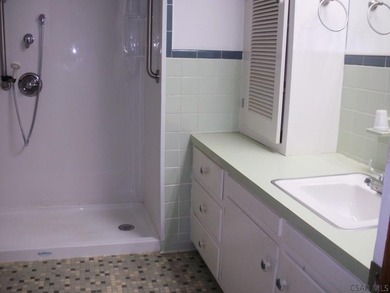 Truely one level living. 3 bedrooms, 2 full baths, one has - photo 22
