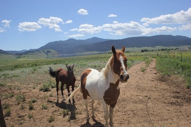 87 acres of pure bliss overlooking Eagle Nest Lake and - photo 5
