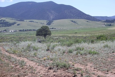 87 acres of pure bliss overlooking Eagle Nest Lake and - photo 7