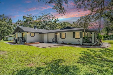 (private lake, pond, creek) Home Sale Pending in Lutz Florida