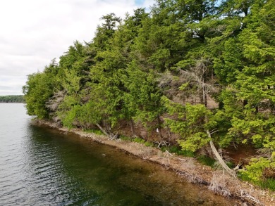 Lake Acreage For Sale in Stambaugh, Michigan