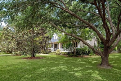 Welcome to this stunning Charleston-style traditional home - photo 6