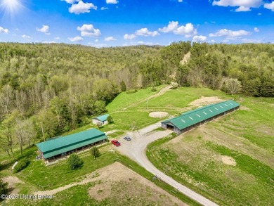 Welcome to an extraordinary opportunity in Salt Lick - photo 3