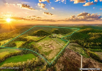 Welcome to an extraordinary opportunity in Salt Lick - photo 6