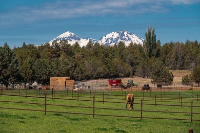 Horseman's Dream of Central Oregon is a 35.21+/- acre estate w/ - photo 3