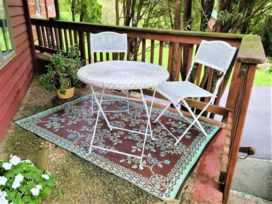 Driftless Region Gem: 4 BR, 2 Bath, 1916 terra cotta block - photo 8