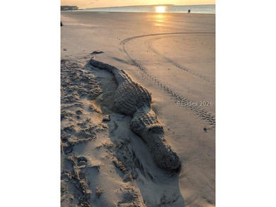 Discover the perfect place to build your Lowcountry retreat on - photo 29