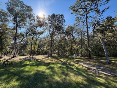 Come see this practically brand new 3/2 beautiful Frame Home - photo 4