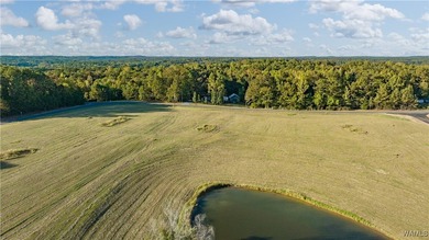 Explore pristine, level waterfront lots in a top-rated school - photo 42