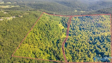 Nestled in scenic Northwest Georgia just minutes from - photo 40