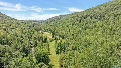 Nestled in scenic Northwest Georgia just minutes from - photo 41