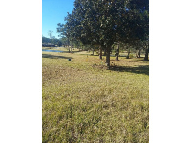 (private lake, pond, coastal) Lot For Sale in Cairo Georgia