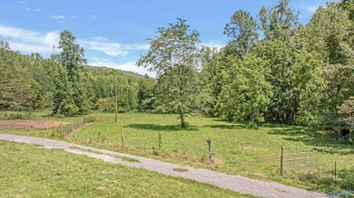 Nestled in scenic Northwest Georgia just minutes from - photo 45